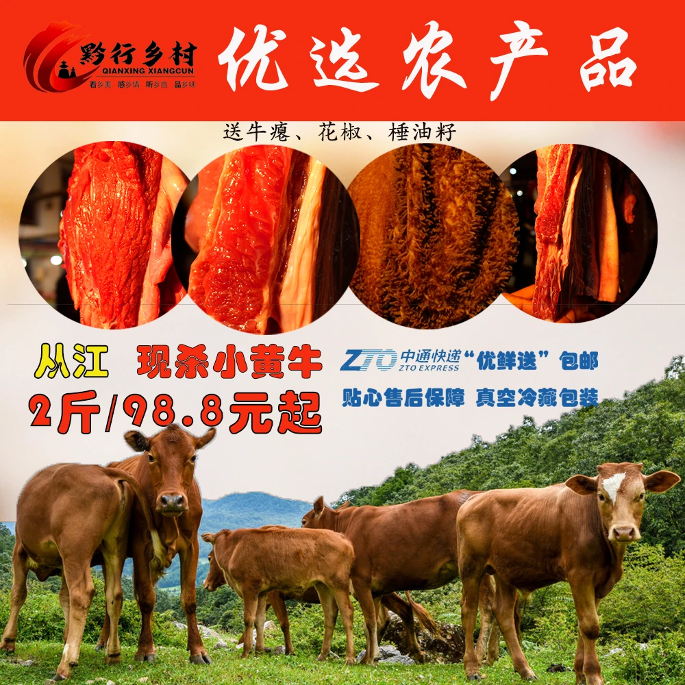 贵州小黄牛肉真空包装乡村发货(酸汤火锅，牛瘪火锅配齐发货）