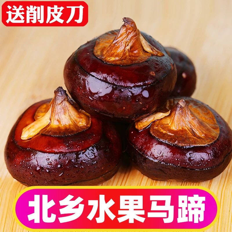 乐昌马蹄荸荠新鲜水果当季北乡红皮马蹄大果脆爽清甜地栗地梨包邮