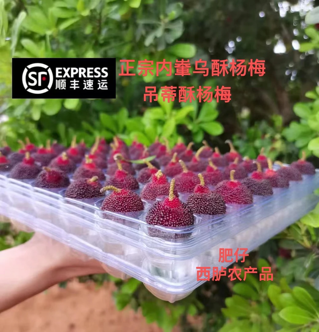 西胪内輋乌酥杨梅2-5斤：支持发外省