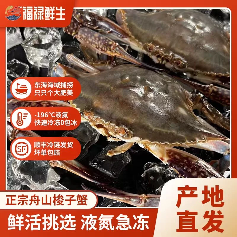 【蟹姐专属】【冻蟹】精选舟山梭子蟹3斤 鲜嫩急冻蟹保鲜氮冻锁鲜