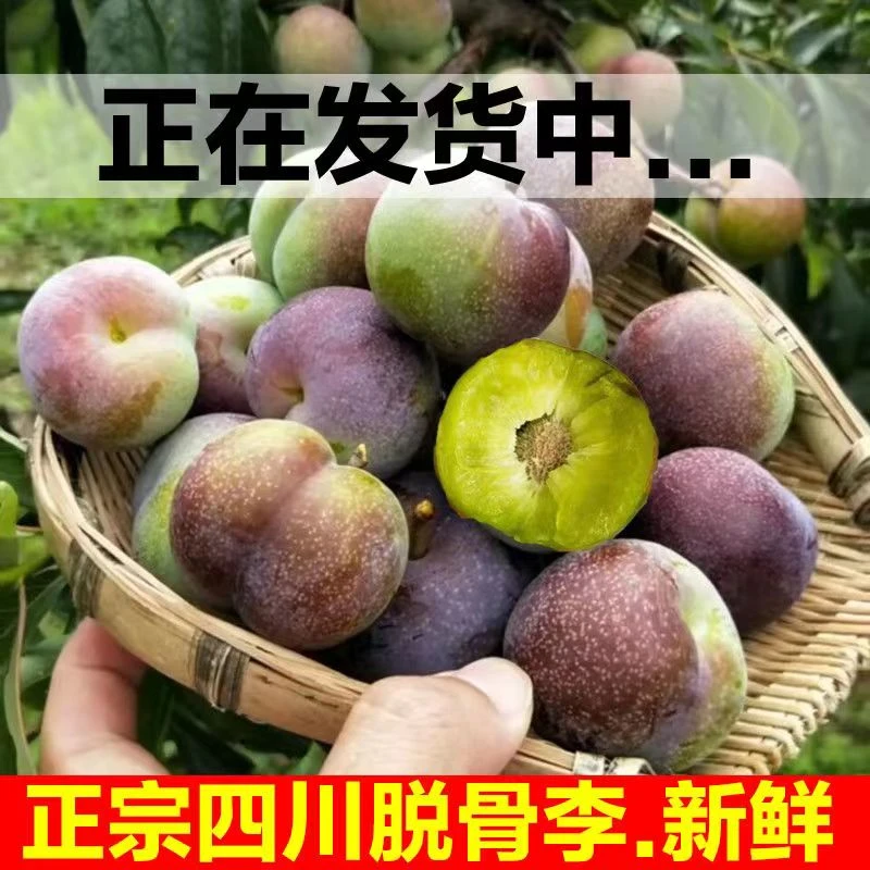 四川半边红茵红李子现货正宗新鲜当季现摘整箱孕妇水果5斤农产品