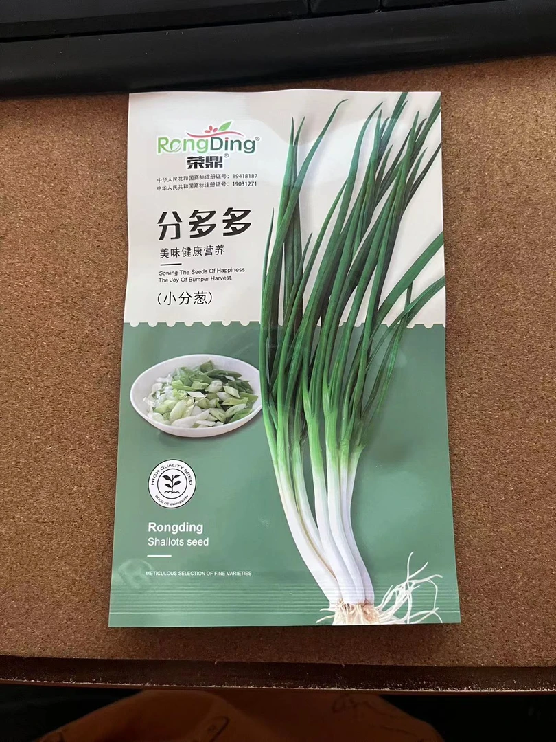 分多多小分葱种子&&