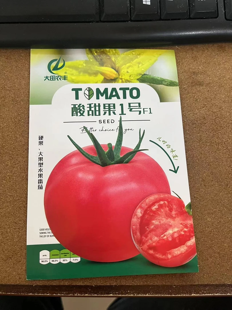 酸甜果1号柿子种子