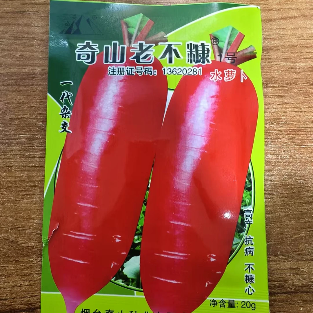奇山不老糠水萝卜种子
