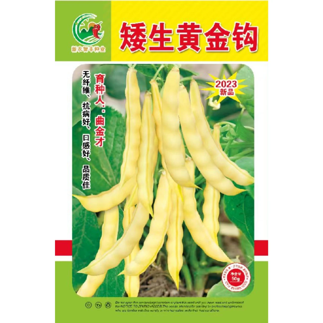 矮生黄金钩面油豆角种子