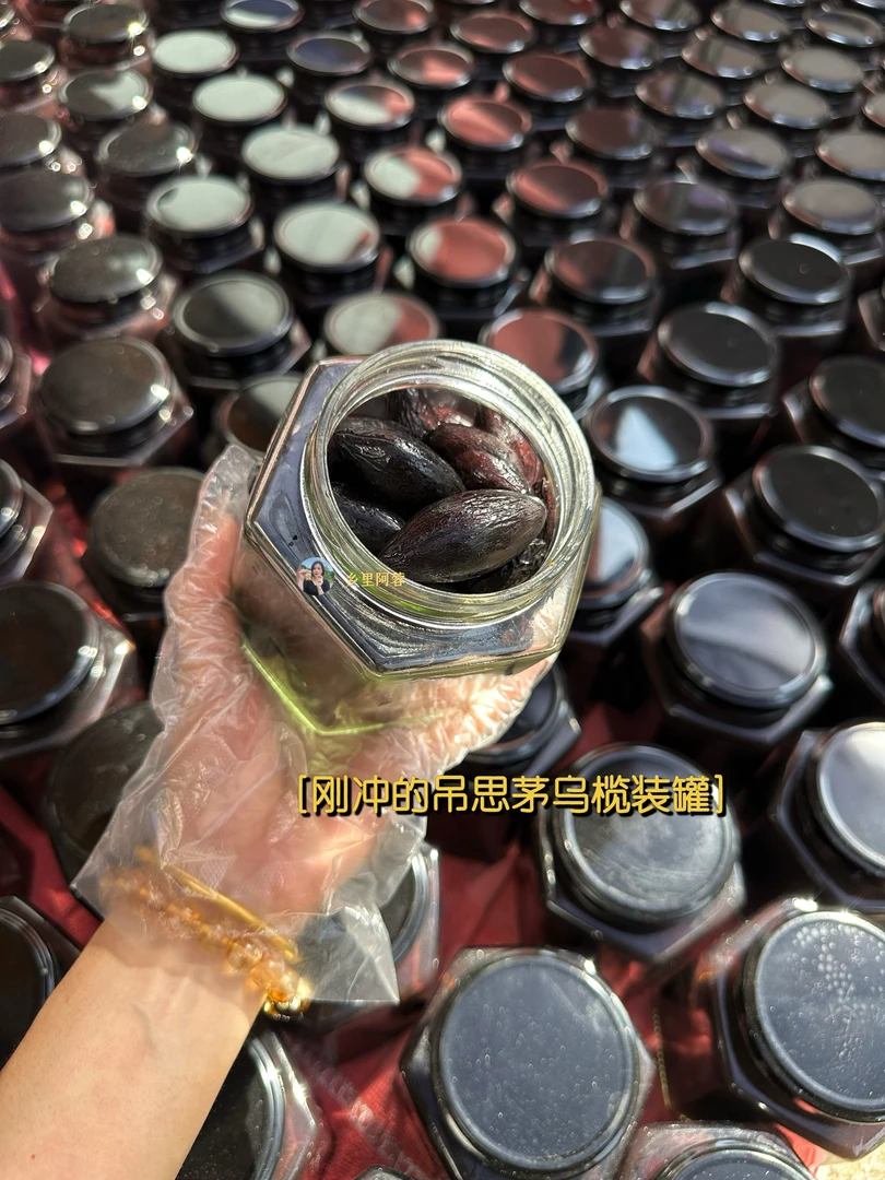 乡里阿蓉【船埔吊思茅乌榄】正宗潮汕特产橄榄菜美味送人礼盒套装