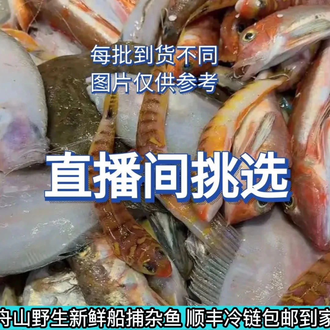 舟山海鲜现场链接 码头直发