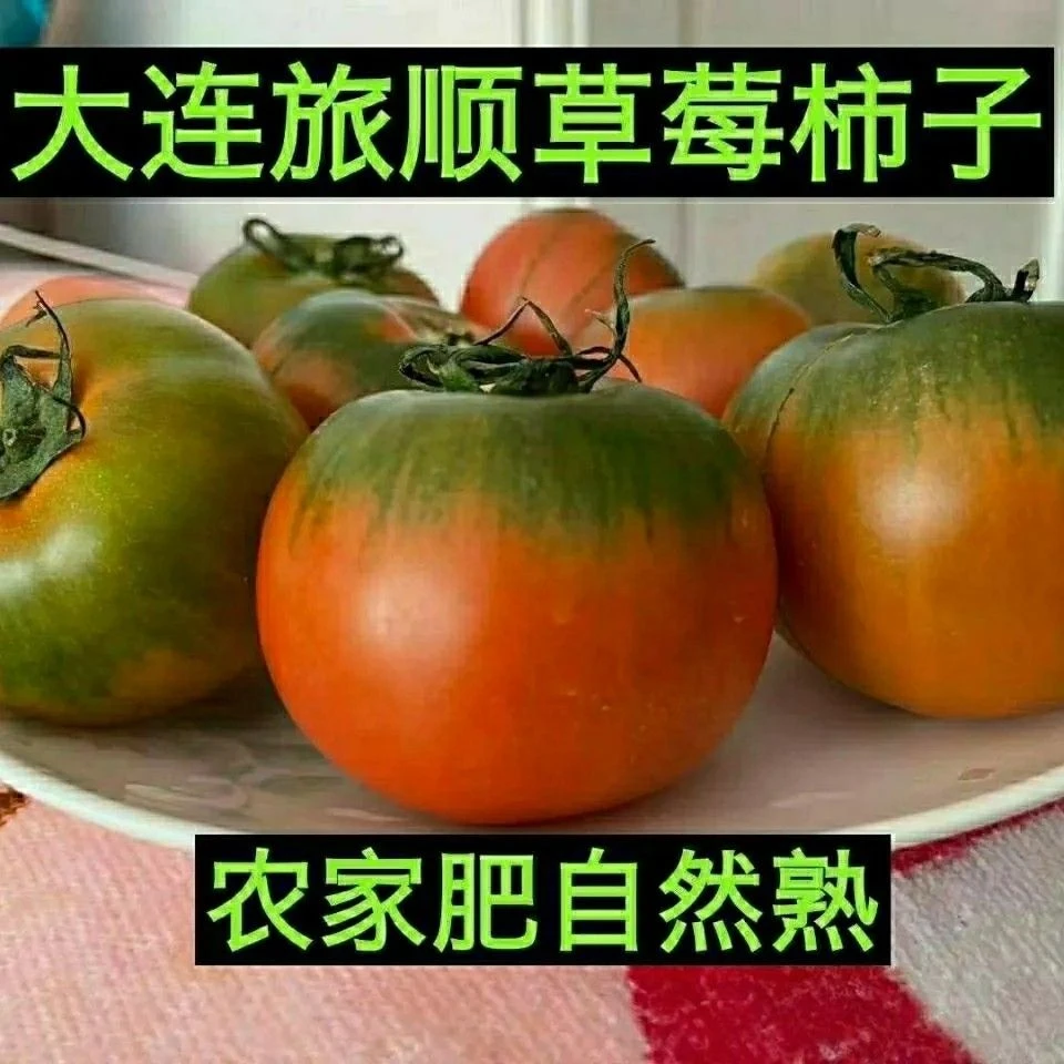 大连旅顺正宗铁皮鲜果柿子，碱地柿子，草莓柿子。