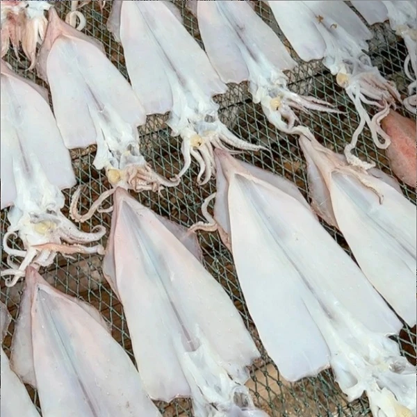 潮鲜样样好潮汕特产海鲜特产湿鱿鱼