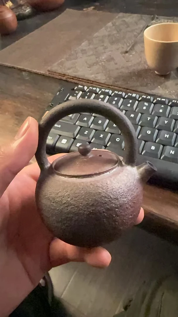 冯绍峰柴烧提梁壶