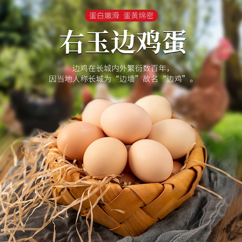 右玉边鸡蛋 3天下一颗 顺丰直发