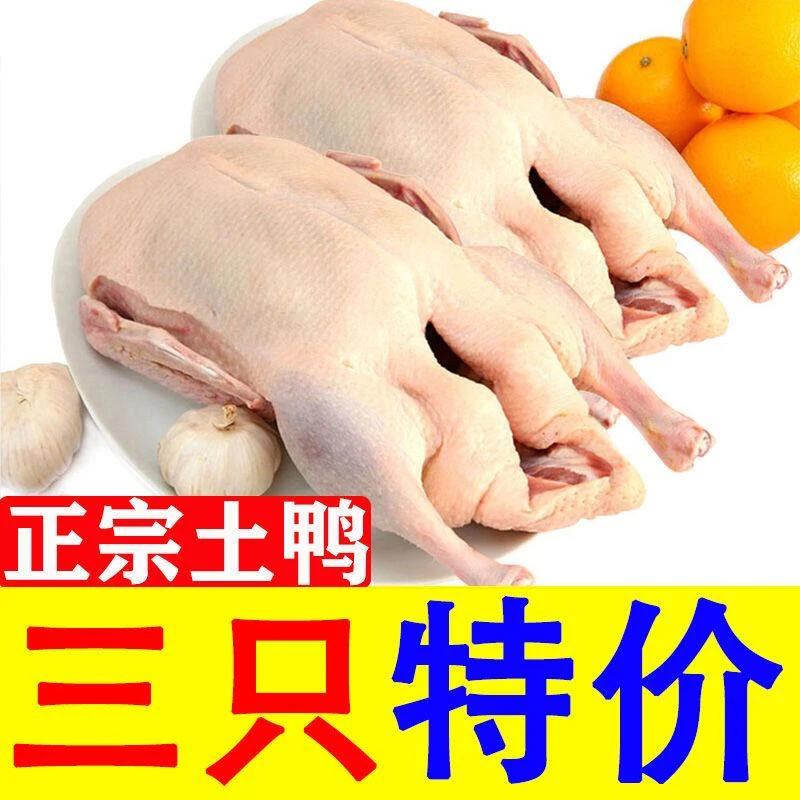 农家散养土鸭麻鸭老鸭新鲜鸭肉鸭子整只笨鸭水鸭正宗老鸭鸭头鸭脖