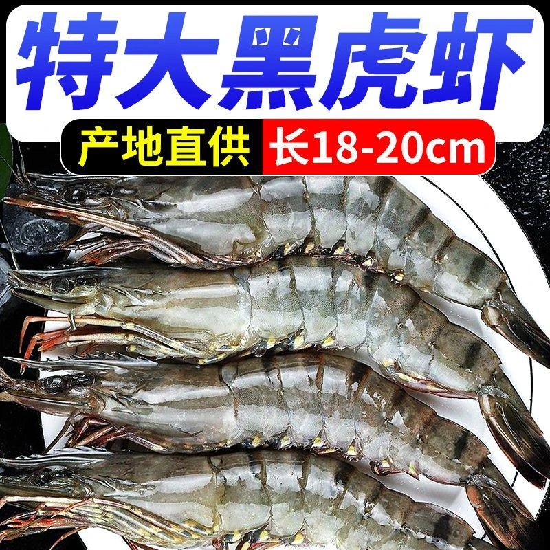【虾有虾途】泰国超大黑虎虾新鲜18-20cm鲜活冷冻海鲜批发斑节虾