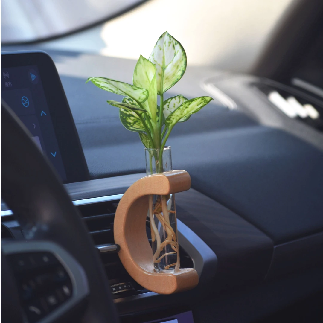 【停户外不推荐C型】车载真绿植水培摆件饰品简约汽车内饰净化空气