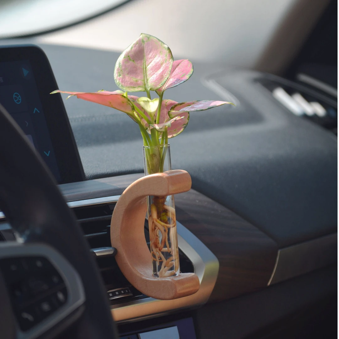 【C型】车载真绿植空调出风口水培摆件饰品简约汽车内饰中控台摆件