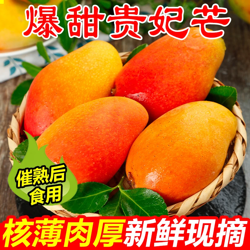【现摘】海南贵妃芒果水果产地直发海南芒果贵妃芒果海南贵妃芒大果
