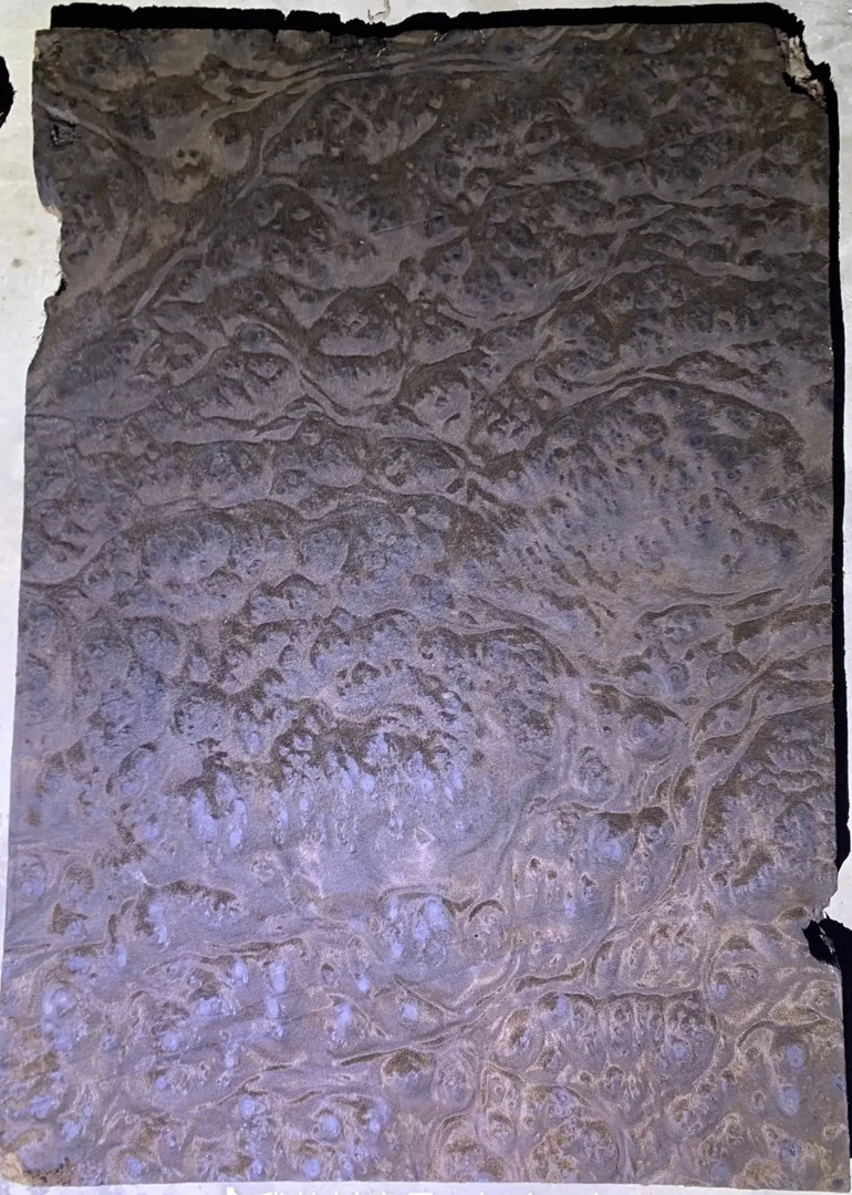 小叶金丝楠乌木葡萄瘤圈椅板一套