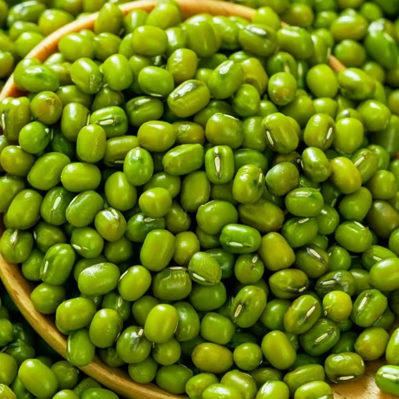 [3单5单囤]优质绿豆五谷杂粮