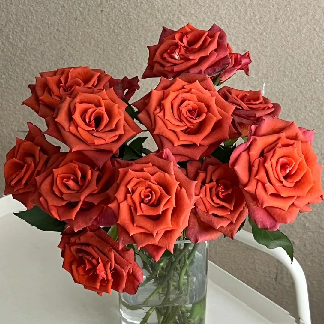 【杏仁酒】玫瑰花  1个邮费可以买全店任意4把鲜花