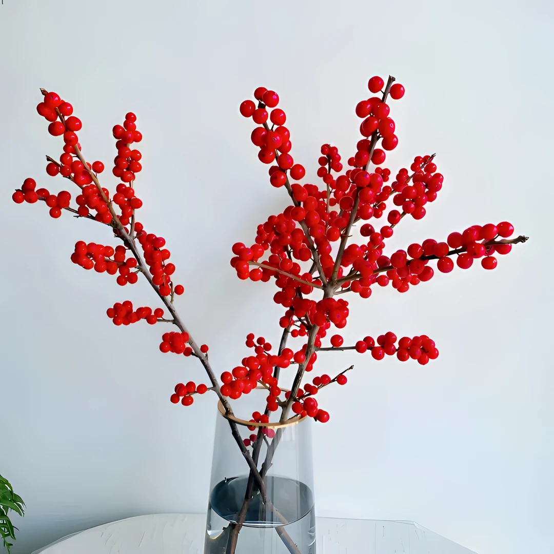 【冬青】喜庆的年宵花鲜花期长  顺丰包邮送货上门 红红火火的鲜花