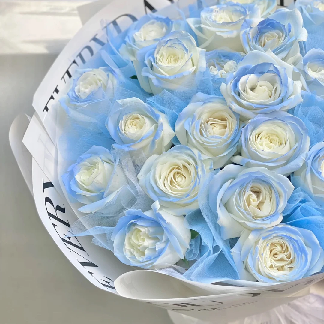 【碎冰蓝】玫瑰   1个邮费可以买全店任意4把鲜花