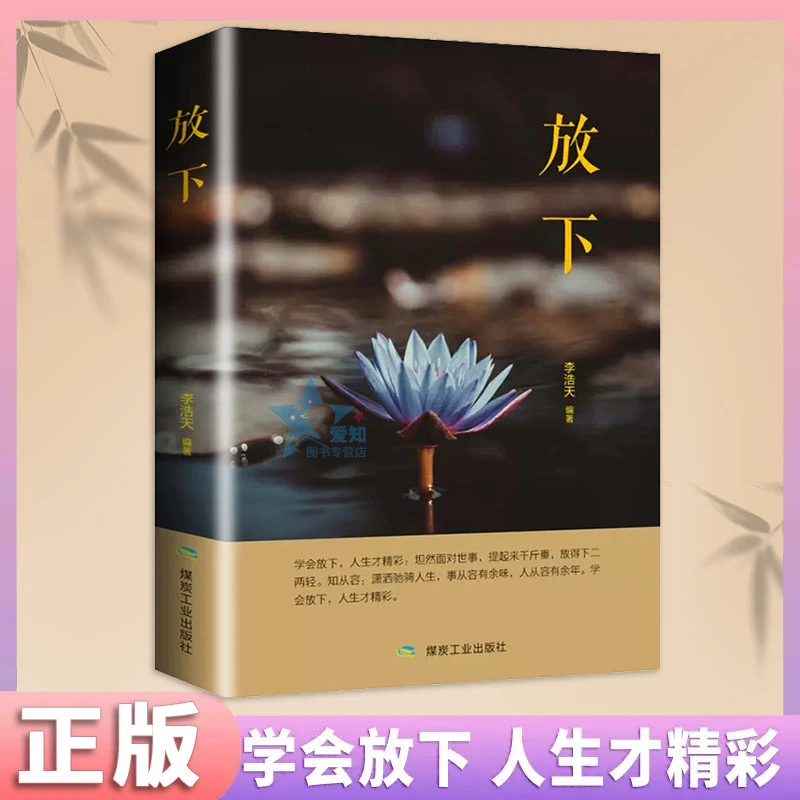 放下书籍人生哲学通俗读物不抱怨的爱上生命中青春励志书精彩生活