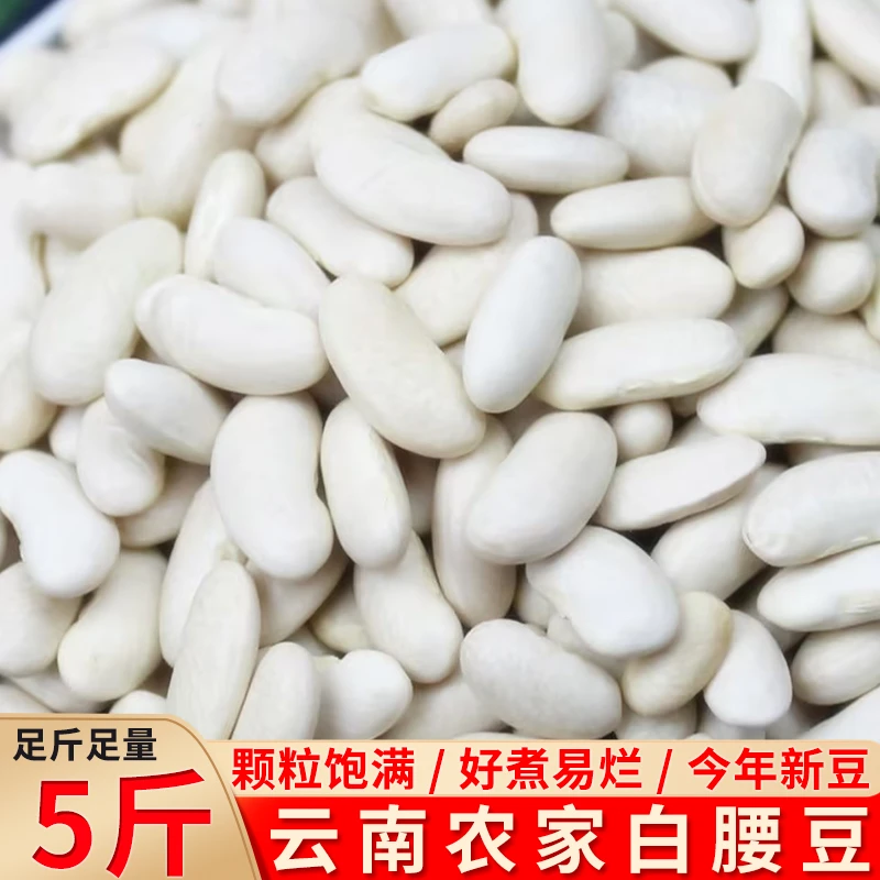 白腰豆云南农家自种小白腰豆今年新豆五谷杂粮小白豆炖汤白腰豆