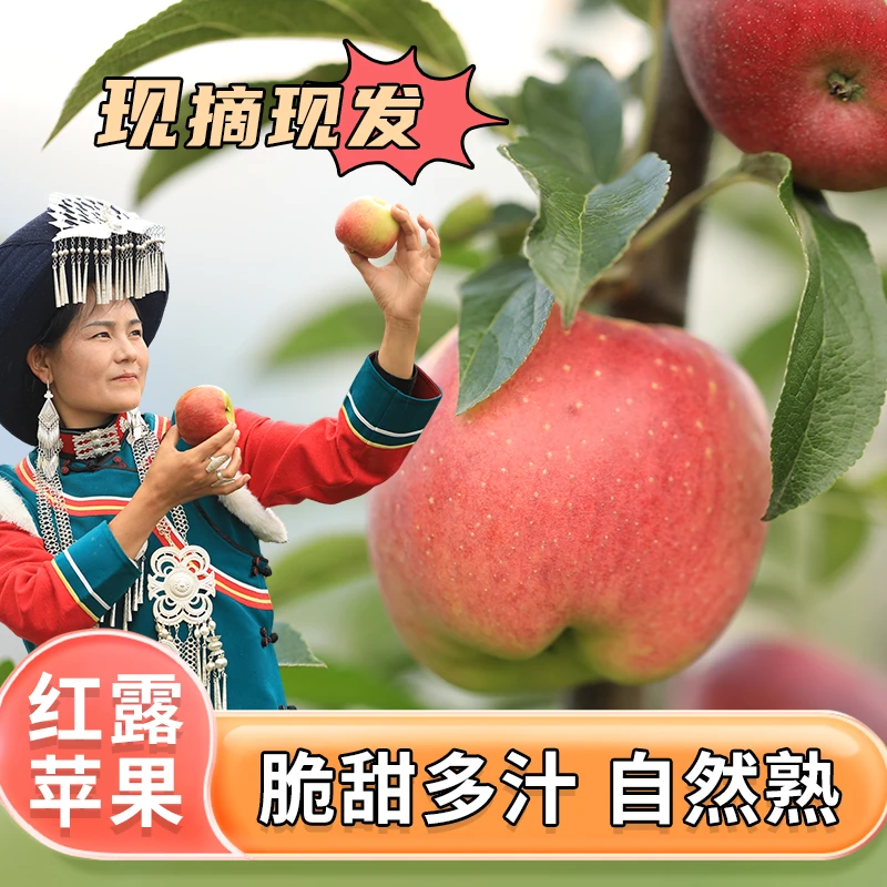 越西大凉山红露苹果汁多肉厚皮薄浓厚果香味饱满脆甜浓郁多汁