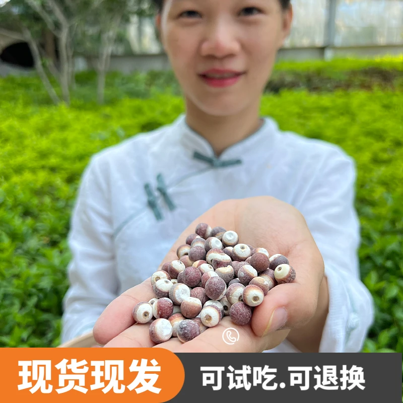 【老陈专属款】精选农家自种大颗芡实无硫优质鸡头米100g-500g直发