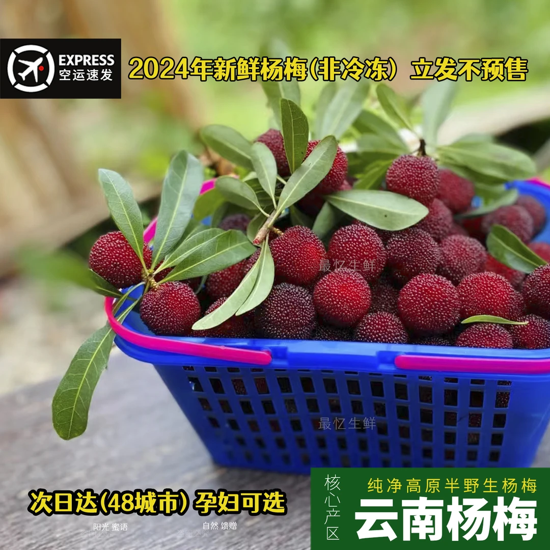 24年云南杨梅鲜果空运新鲜现摘孕妇水果荸荠梅东魁真空冷链早梅