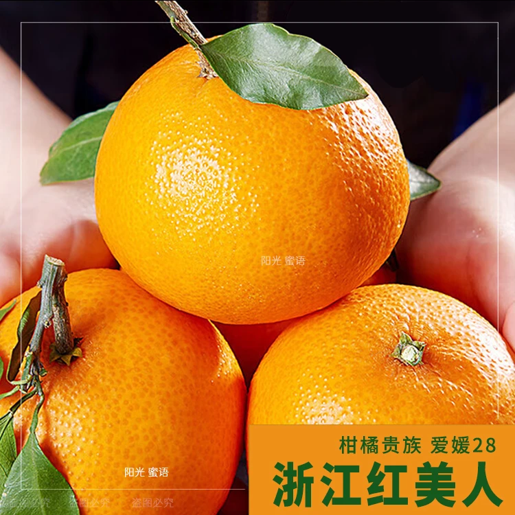 正宗浙江红美人柑橘爱媛28号新鲜现摘水果蜜桔礼盒果冻橙象山台州