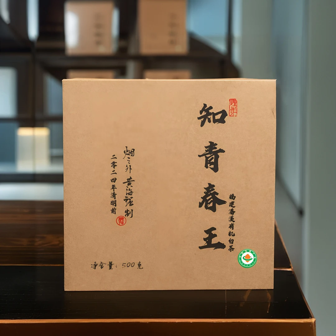 黄海强2024年知青春王500克（2024年原生态自然有机白茶）
