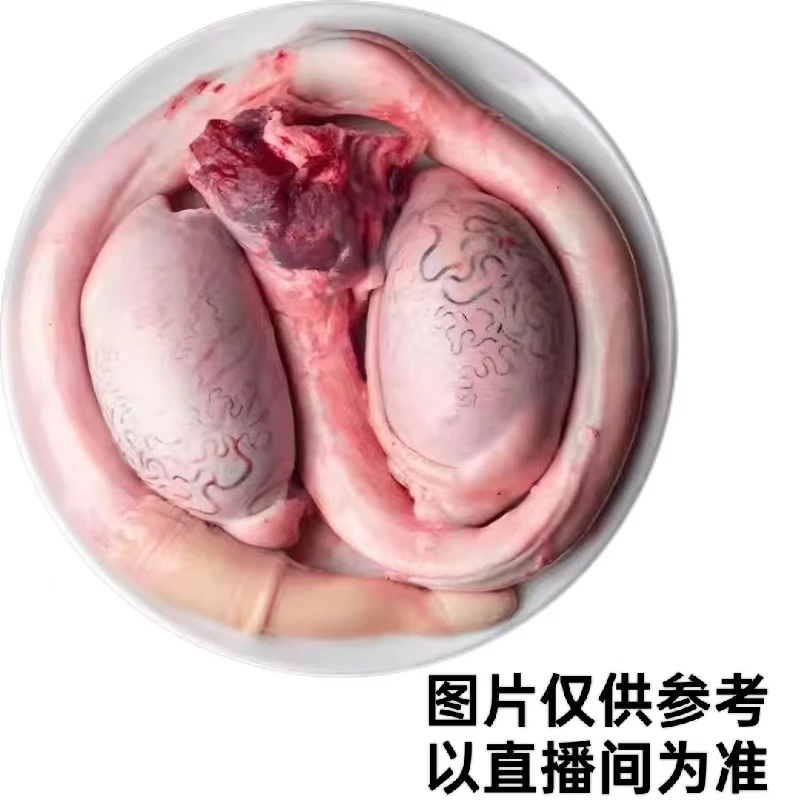 爱心牛鞭蛋  东北黄牛