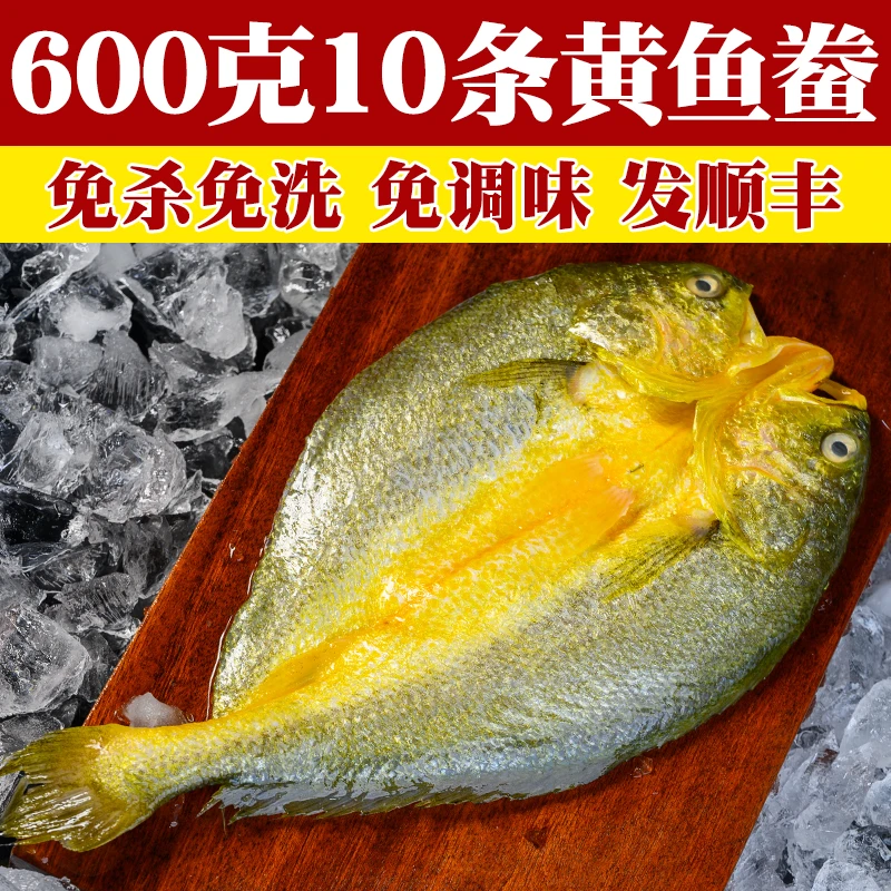 【600gx10条】宁德黄鱼鲞正宗大黄花鱼三去大黄鱼腌制醇香非半干货