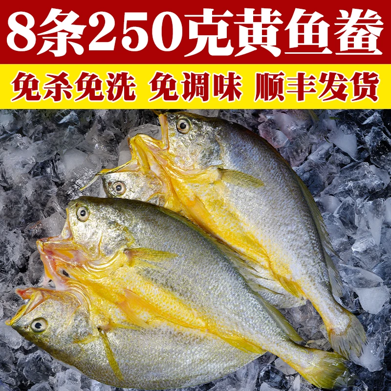 【8条X250g】宁德霞浦黄鱼鲞正宗黄花鱼三去大黄鱼新鲜商用非半干货