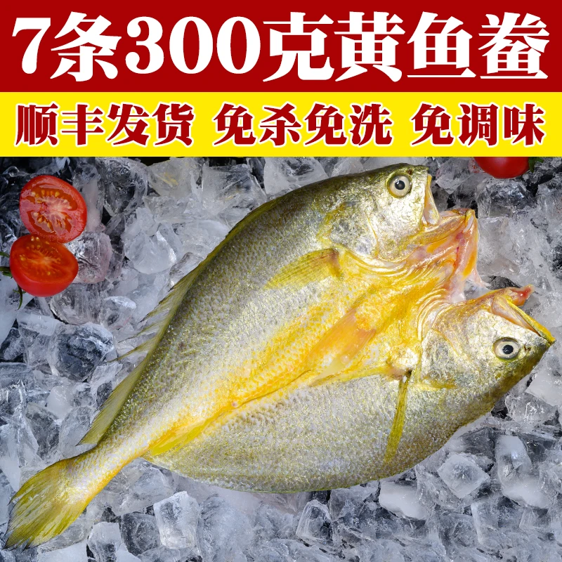 【7条X300g】宁德霞浦黄鱼鲞正宗黄花鱼三去大黄鱼清蒸腌制新鲜冷冻