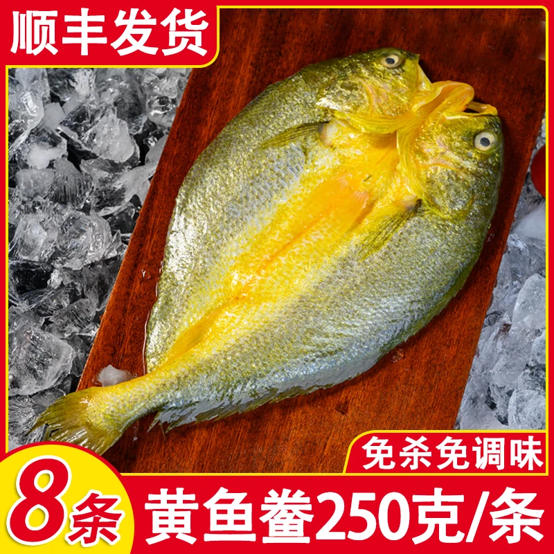 【8条/每条250g】福建宁德黄鱼鲞正宗黄花鱼大黄鱼腌制新鲜非半干货
