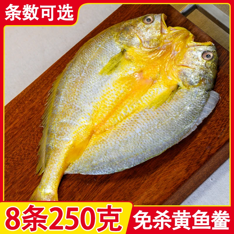 【8条/每条250克】福建宁德黄鱼鲞正宗黄花鱼大黄鱼腌制处理非干货
