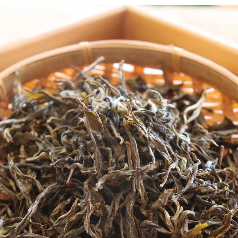 【尖选】小户赛核心古树100号茶农2022年春茶高香高甜兰花韵