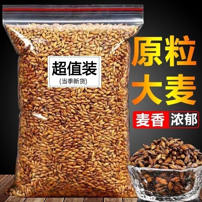 大麦茶正宗原味浓香型炒熟搭麦芽茶饭店散装批发非黑黄苦荞泡茶喝