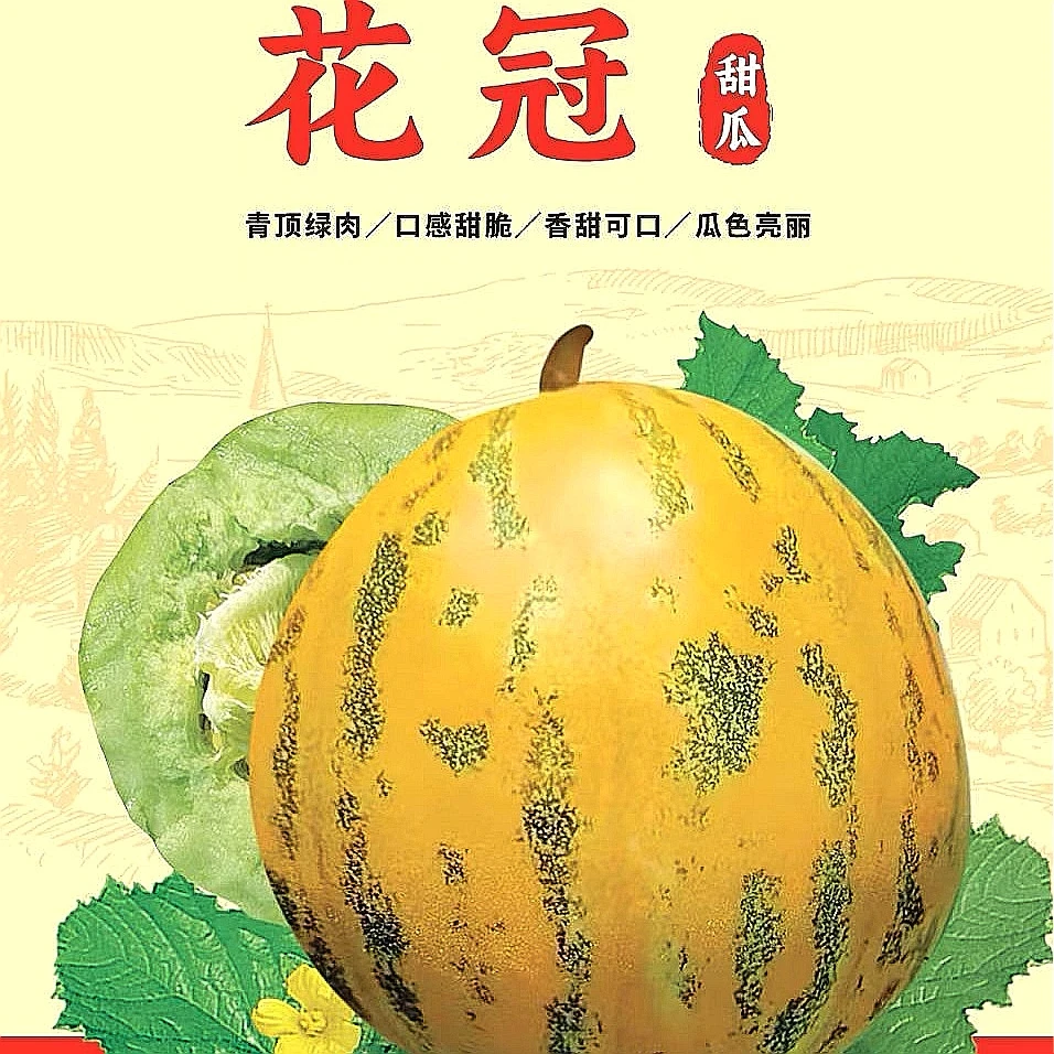 精品【 花冠 】优质花皮八里香甜瓜种子（2000粒/袋）