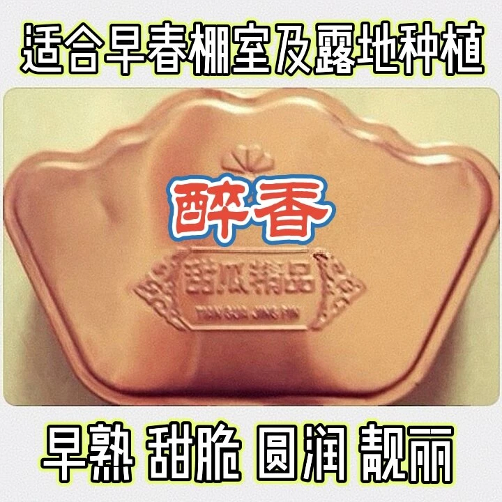 【醉香】精品甜香瓜种子（2000粒/盒）超早熟.超甜脆