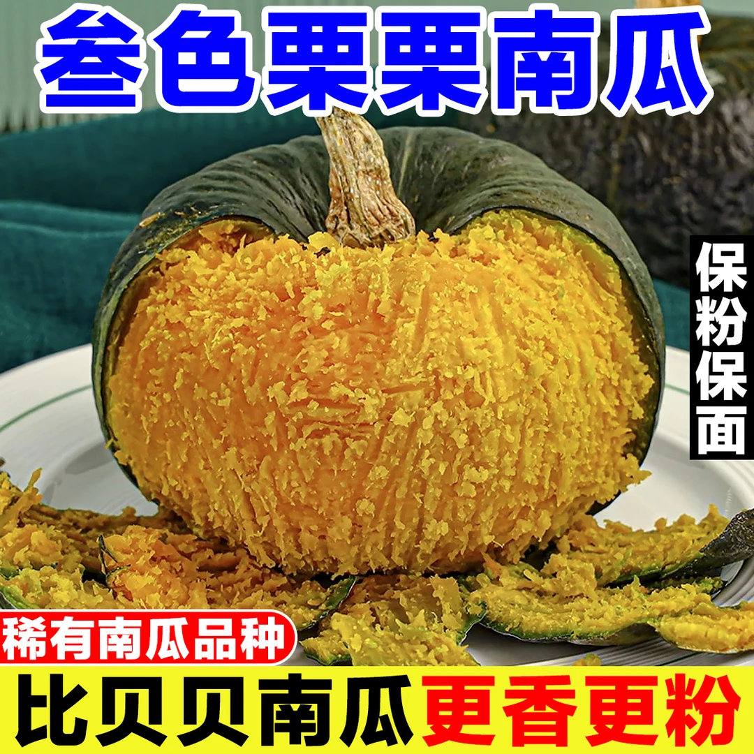 正宗叁色栗栗南瓜新鲜蔬菜贝栗美南瓜板栗味宝宝辅食三色栗栗南瓜
