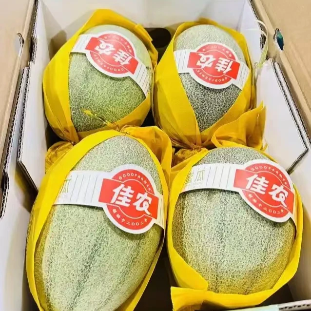 佳农小蜜瓜【香甜可口1600±200克】