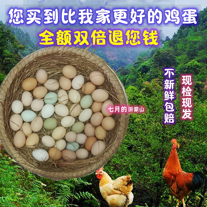 沂蒙山鸡蛋新鲜土鸡蛋农家正宗散养柴鸡蛋笨鸡蛋月子本大30枚批发