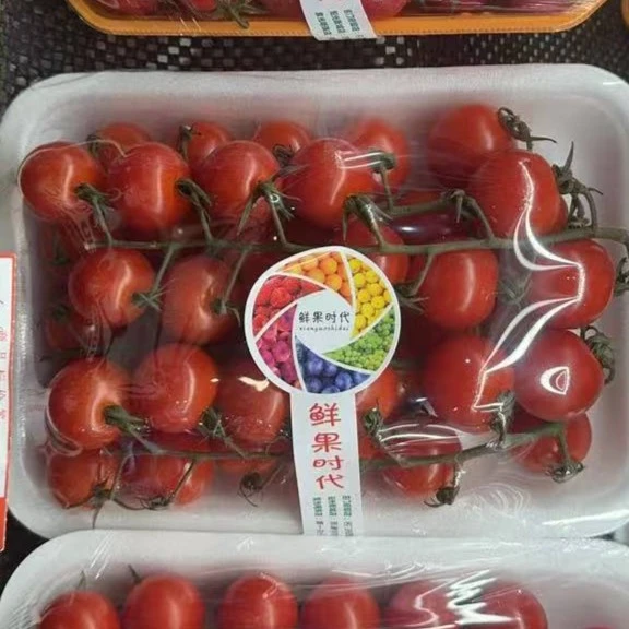 海升串番茄小番茄约580g/份番茄同城配