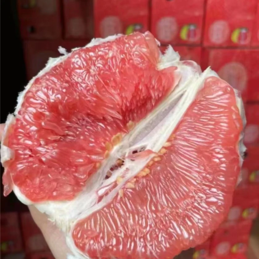月阳果红柚