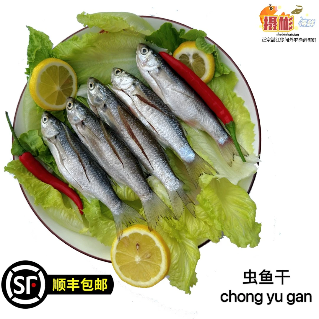 湛江徐闻外罗渔港乌头干  虫鱼干