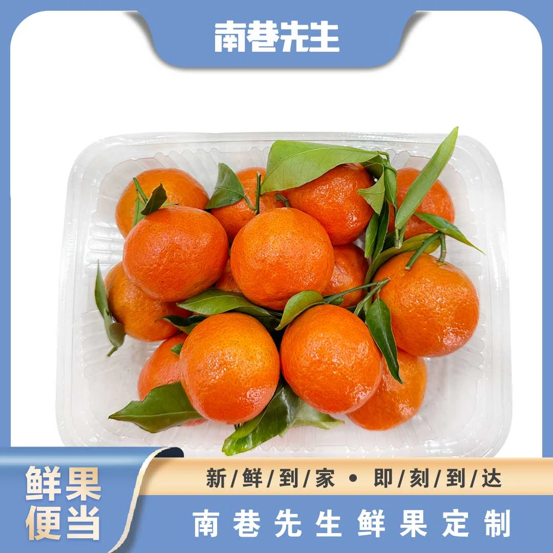 砂糖橘--1000g