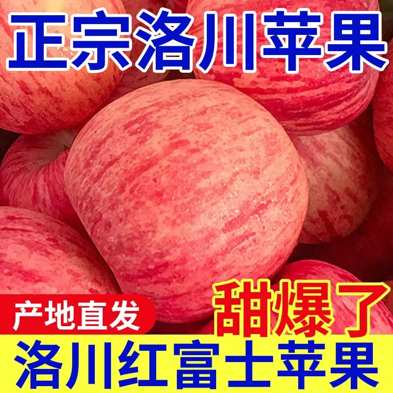 果臻甜-新果上市正宗陕西洛川红富士苹果 新鲜应季水果园现摘现75